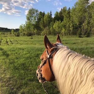 Meet your Posher, Ann